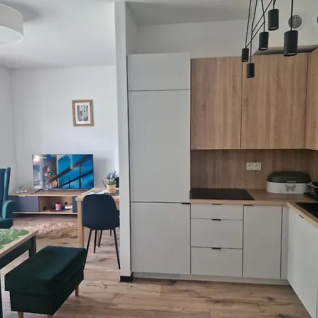 Апартаменты Sloneczny Taras Nad Barycza *