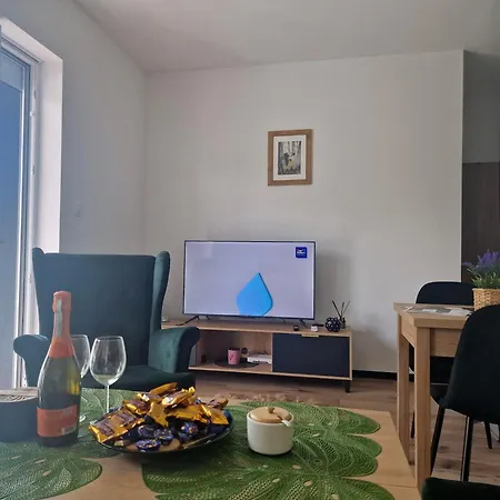 Sloneczny Taras Nad Barycza Милич