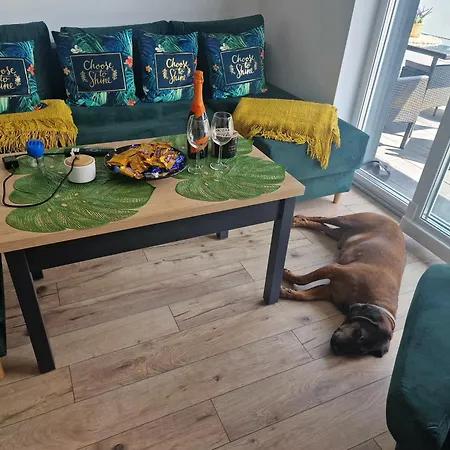 Sloneczny Taras Nad Barycza